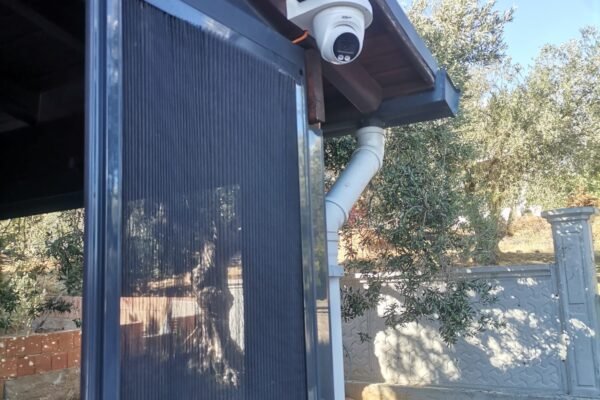 WhatsApp Image 2026-02-09 at 19.42.09