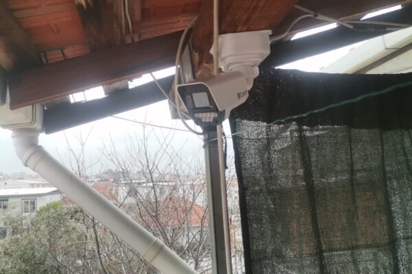 WhatsApp Image 2026-02-09 at 19.42.13 (1)